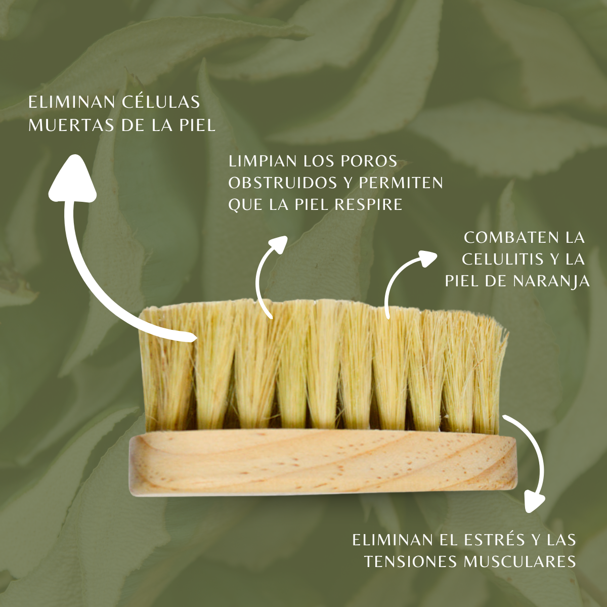 Cepillo Triangular para Axilas y Cuerpo de Henequen y Lechuguilla